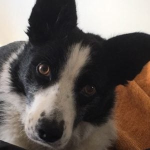 Profile photo of Etta Brown